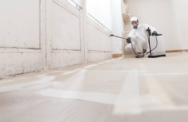 24/7 Emergency Crawl Space Mold Remediation experts in Lebanon, TN